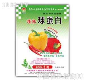 ���A��(qi��ng)-ֲ���򵰰���������