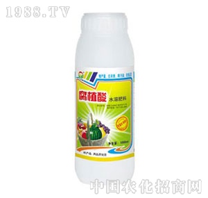 ���A��(qi��ng)-���A��(qi��ng)��ֲ��