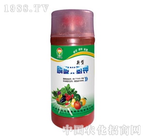 ���A��(qi��ng)-��������