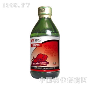 ����-��ţ