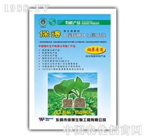 �����ӷN�����݌���