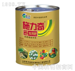 ��ԣ����-ʩ����