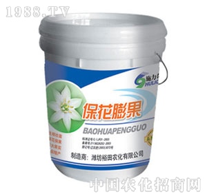 ��ԣ����-�������