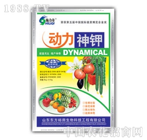 ��ԣ����-�������