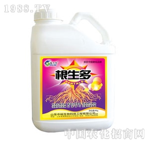 ��ԣ����-������