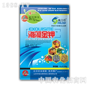 ��ԣ����-������