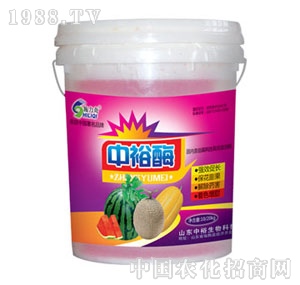 ��ԣ����-��ԣø