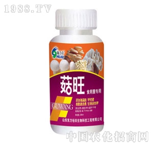 ��ԣ����-����