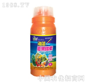 ��ԣ����-�����������