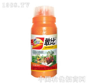 ��ԣ����-�ұ�