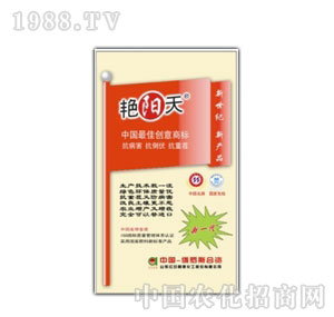 �t�հ���-��һ��384�I�B(y��ng)���G���ͺϷ�