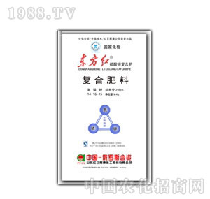 �t�հ���-�|���t����⛏ͺϷ�