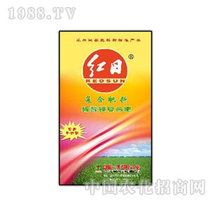 �t�հ���-�t������⛏�(f��)�Ϸ�(�S)