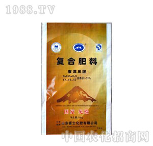 ��ʿ-�ߝ�ȏ�(f��)�Ϸ�