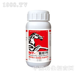 MT.���Ǵ��}