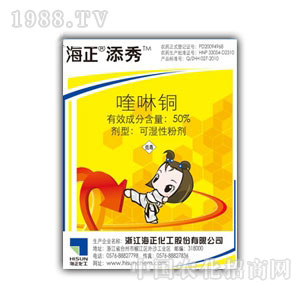 ��������-50%����~