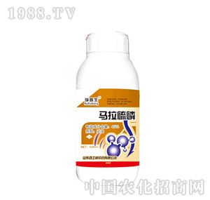 ������-�R������