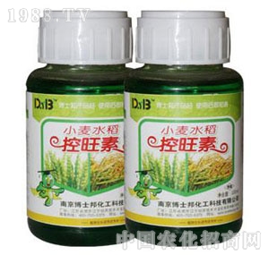 ��ʿ��-С��ˮ��������