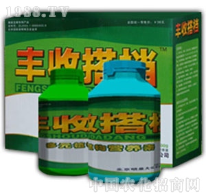 ��Ȫ��-�S�մ�n