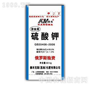 ��������-�����