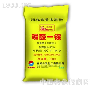 �d�l(f��)����-����һ�@