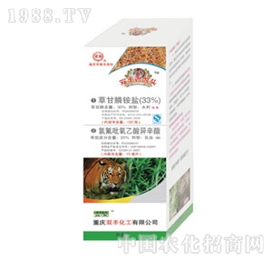 �p�S����-�p�S�ϻ��^