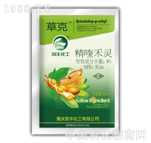 �p�S����-�ݿ�