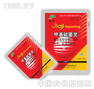 �{�S����-70%�׻�����`