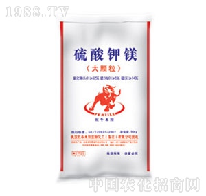 ���(y��ng)-�������