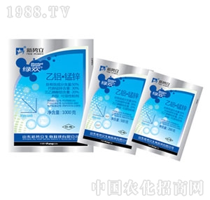 ����-���X�i�\