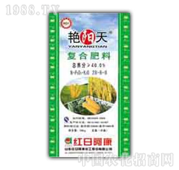 �G���-�ͺϷʣ�28-6-6��