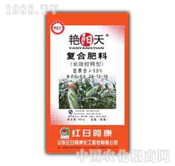 �G���-�ͺϷʣ�28-12-10��