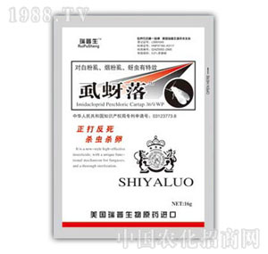 ������-ʭ����