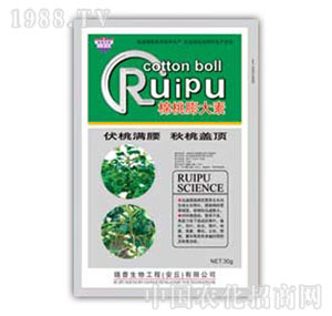 ������-���������