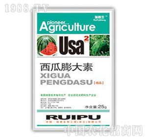 ������-���������