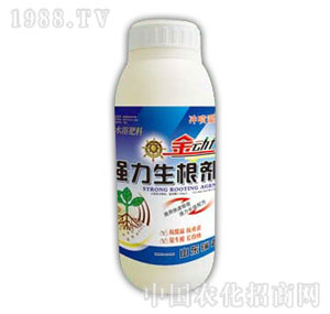 ������-����������