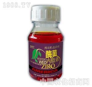 ������-ø��