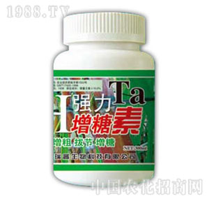 ������-����������