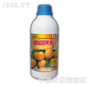 ��ԣ-���������