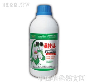 ��ԣ-���ҝM֦�^