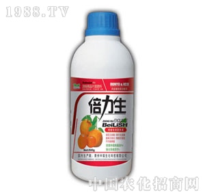 ��ԣ-������