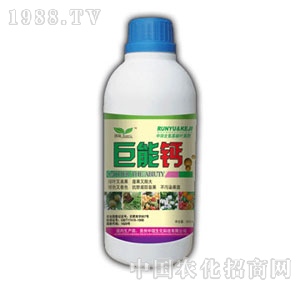 ��ԣ-�����}