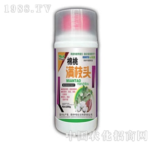 ��(r��n)ԣ-���ҝM(m��n)֦�^