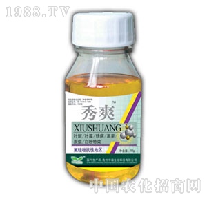 ��(r��n)ԣ-��ˬ