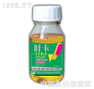 ��(r��n)ԣ-�~��