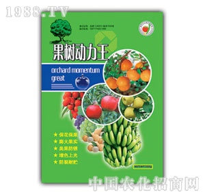 ��(r��n)ԣ-�����(d��ng)����