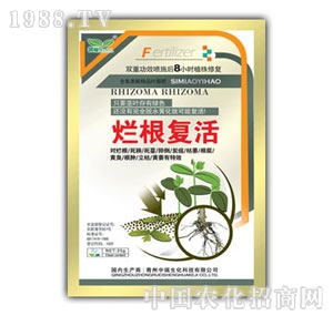 ��(r��n)ԣ-������(f��)��