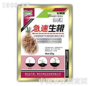 ��(r��n)ԣ-��������