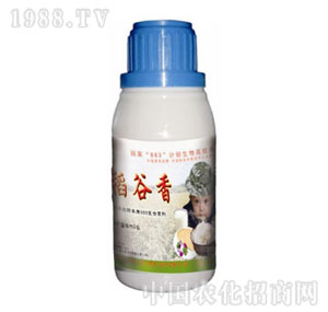 ����-���(zhu��n)�þ���