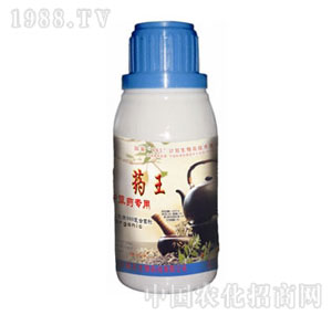 ����-ˎ��